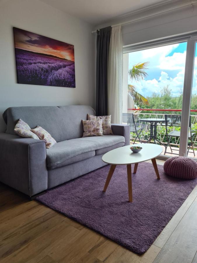 Apartman Luka Novigrad Istria Exteriör bild
